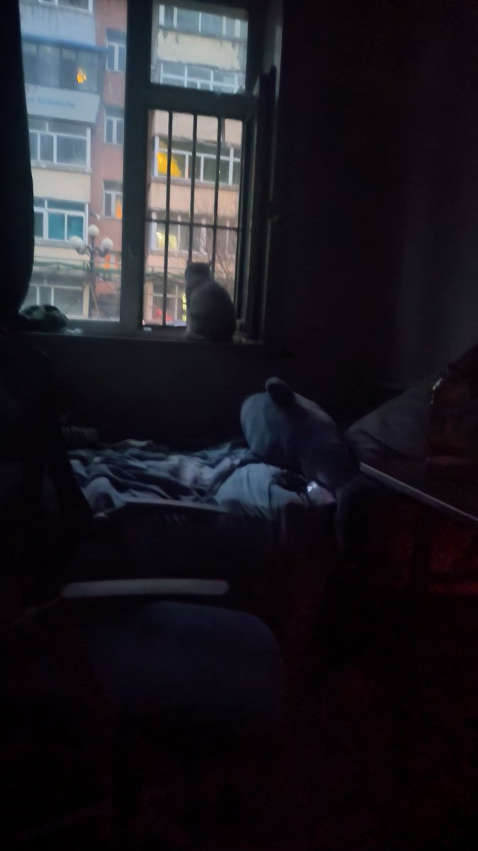 🎀超绝最可爱小遥酱✟ 𓏵‧₊ tweet media