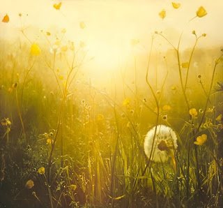 Sexta -feira ☀️ 

20 de Fevereiro 2026.