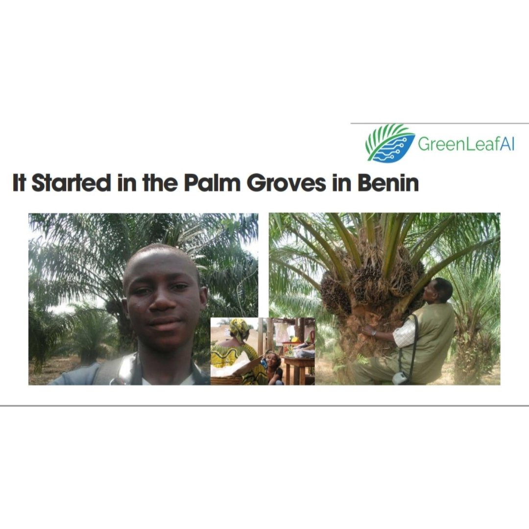 Bendjedid Rachad Sanoussi tweet media