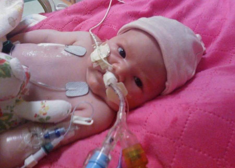 Jason Collen tweet media