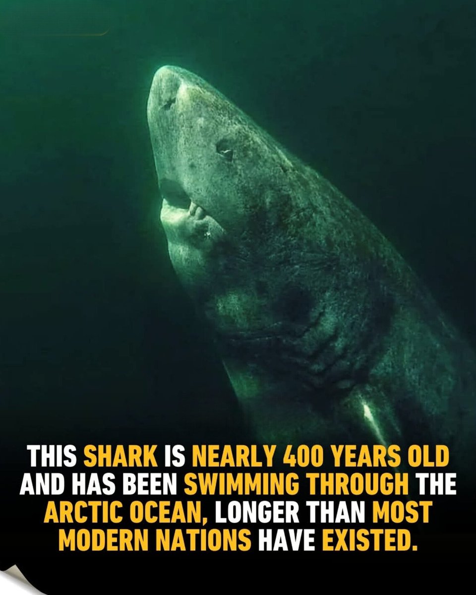 The World R🅰️nking (@worldranking_) on Twitter photo 