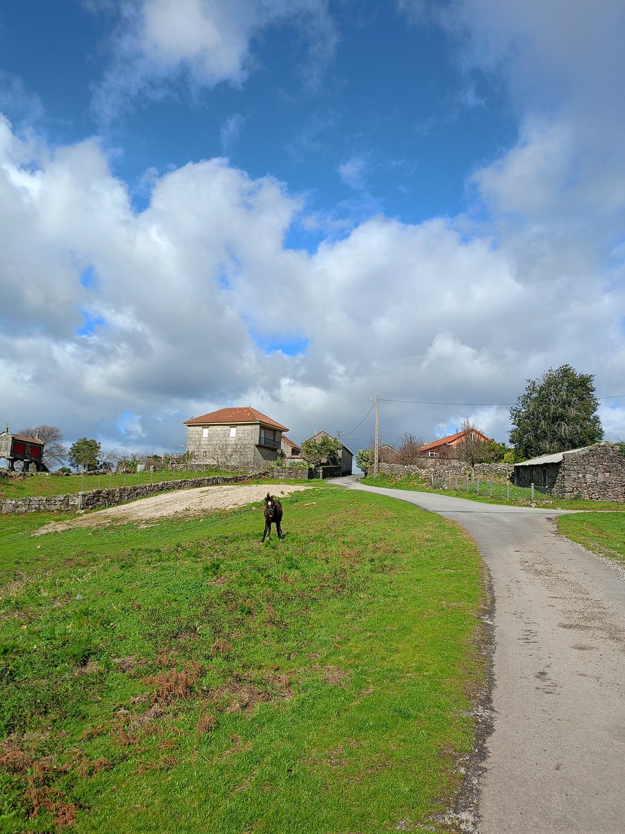 Jorge Castro Pérez tweet media
