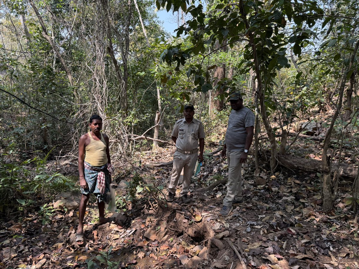 BiotechSanjeet's tweet photo. #Awareness programme on #wildlife habitats, behavioural ecology, and identification of #palatable #grasses and other important #fodder species for the field staff and #Forest officials of #Keonjhar #Forest Division, Odisha.
@EnvironmentPib @Ncscm_Moefcc @moefcc @rameshpandeyifs @PCCFWL_Odisha @ForestDeptt @CMO_Odisha @MohanMOdisha @GaneshRamBJP @pargaien @PMOIndia @SDG2030 @SDGoals