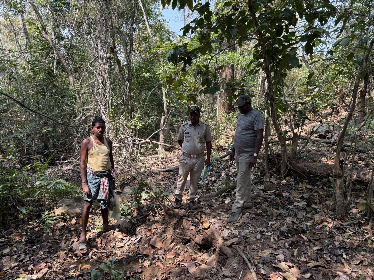 BiotechSanjeet's tweet photo. #Awareness programme on #wildlife habitats, behavioural ecology, and identification of #palatable #grasses and other important #fodder species for the field staff and #Forest officials of #Keonjhar #Forest Division, Odisha.
@EnvironmentPib @Ncscm_Moefcc @moefcc @rameshpandeyifs @PCCFWL_Odisha @ForestDeptt @CMO_Odisha @MohanMOdisha @GaneshRamBJP @pargaien @PMOIndia @SDG2030 @SDGoals