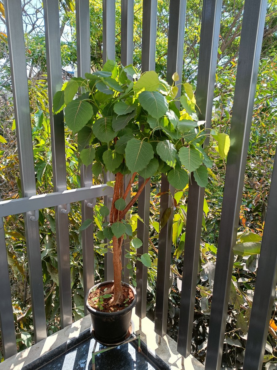 Krishna (@krishnavenikes2) on Twitter photo 