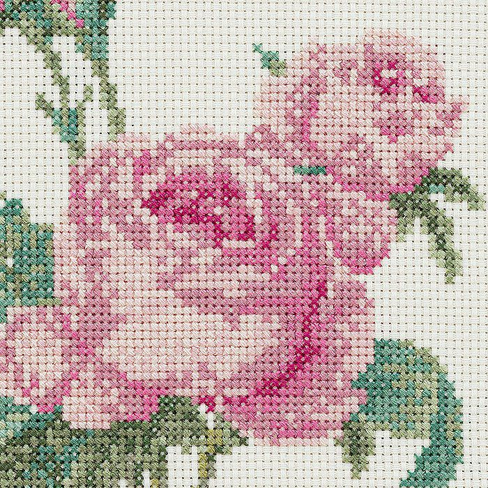 📣 好評ご予約受付中！ 2月25日（水）発売予定 ＼ 『美しき薔薇の世界