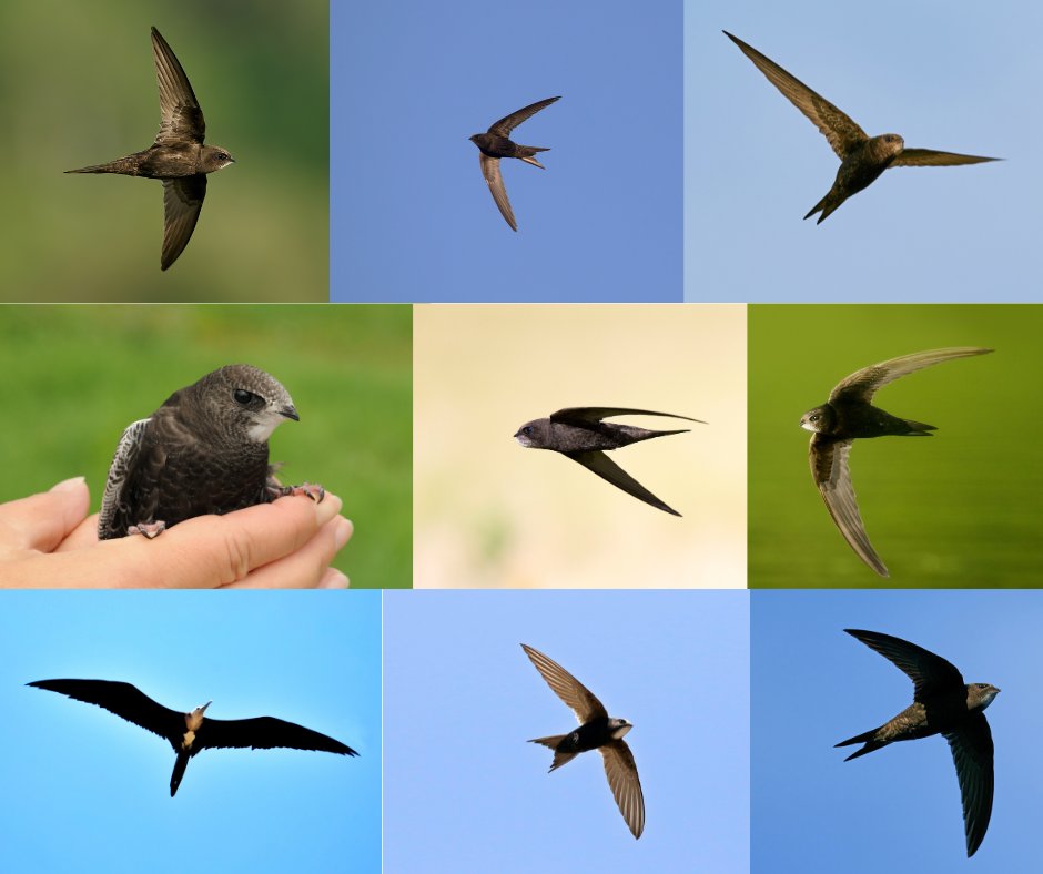 Wrexham Council tweet media