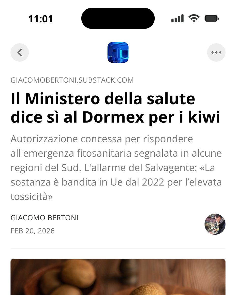 Giacomo Bertoni tweet media