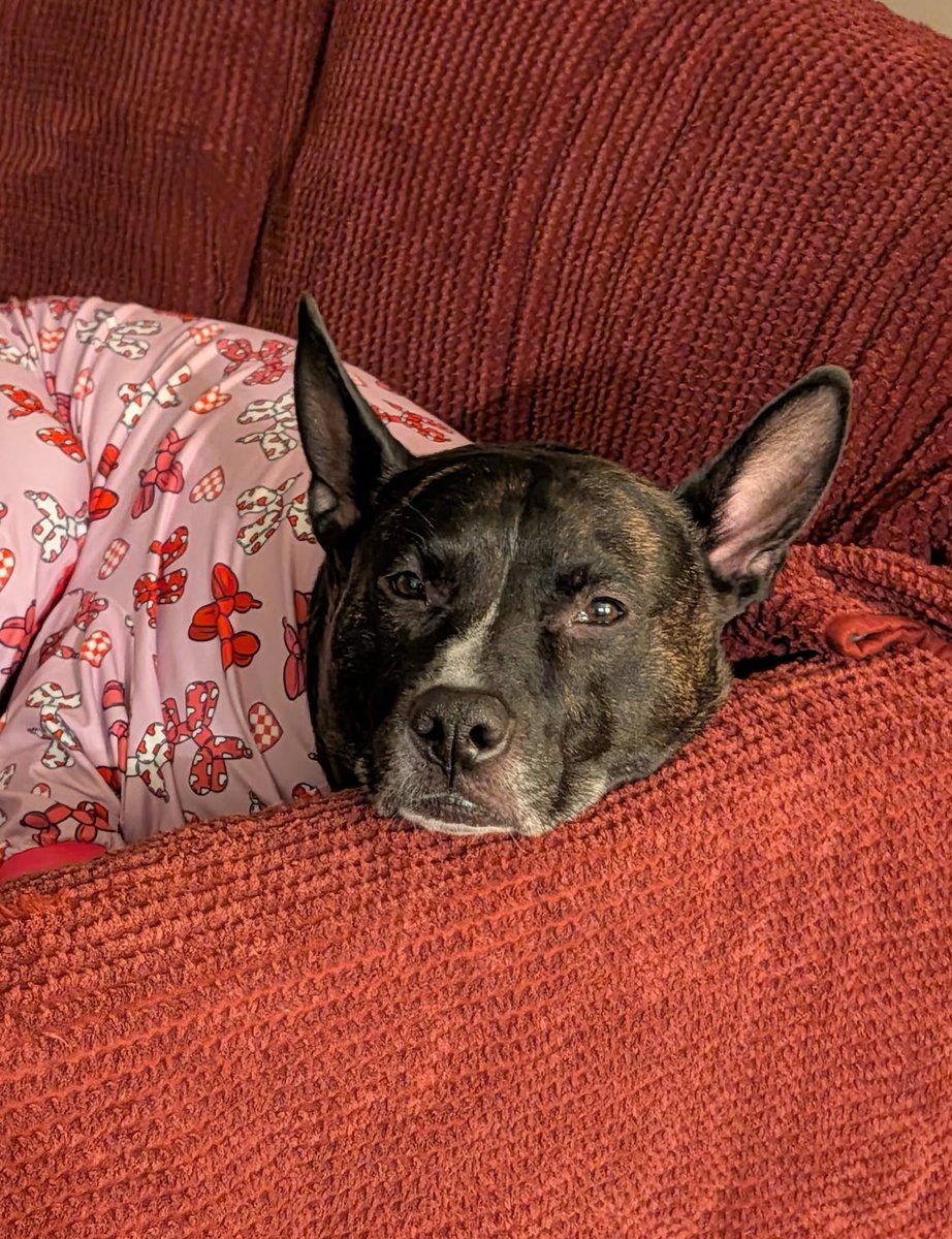 🐣🌷 Handsome Henry 🌷🐣 tweet media