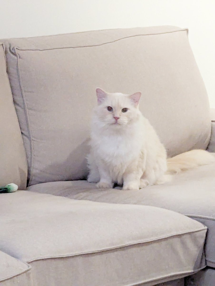 Freya Holmér tweet media