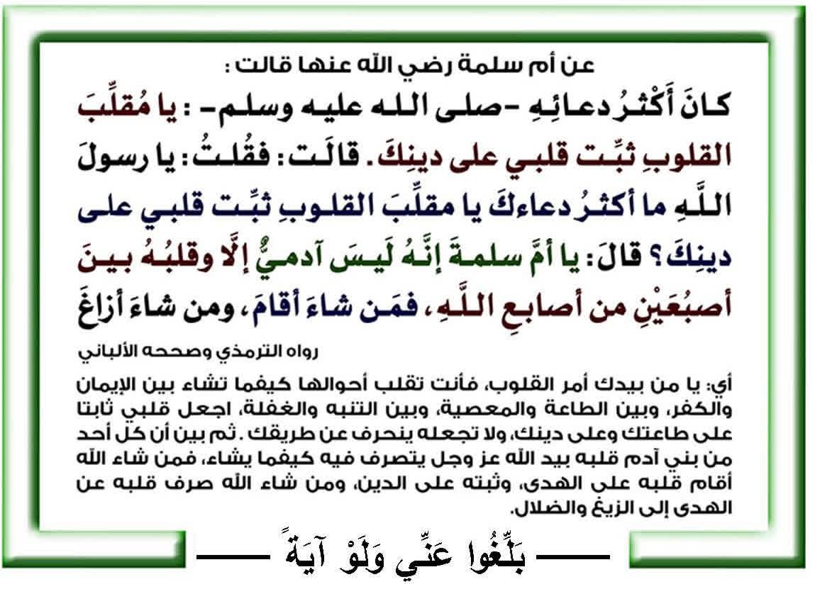 DarkKingDar's tweet photo. #جمعة_مباركة https://t.co/dYwTy1OEop