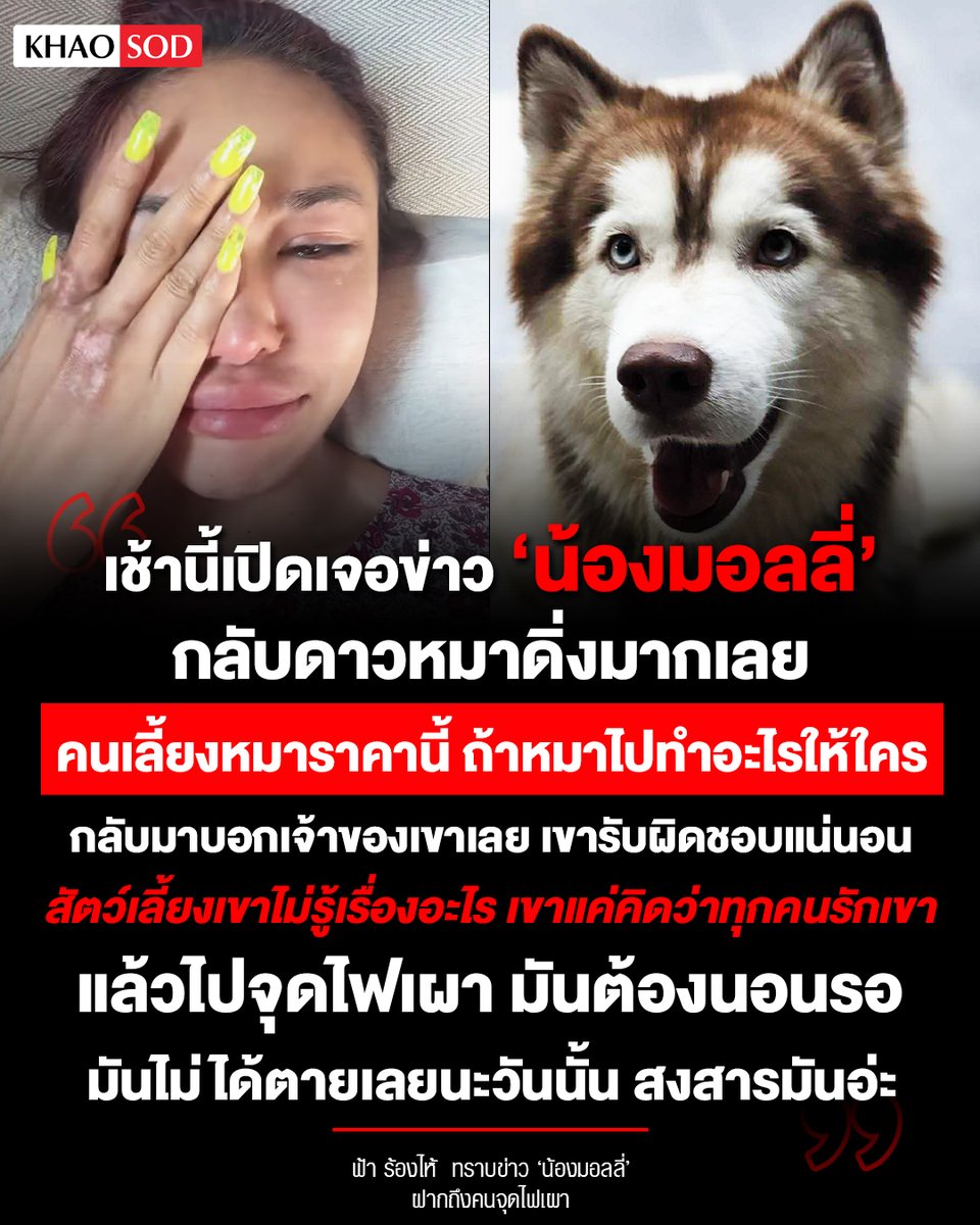 คนเลี้ยงหมาราคานี้ ถ้าหมาไปทำอะไรให้ใคร กลับมาบอกเจ้าของเขาเลย สัตว์เลี้ยงเขาไม่รู้เรื่องอะไร เขาแค่คิดว่าทุกคนรักเขา!

ฟ้า ร้องไห้ทราบข่าว ‘น้องมอลลี่’ กลับดาวหมา ฝากถึงคนจุดไฟเผาว่า “เช้านี้ (20 ก.พ. 69 ) เปิดเจอข่าว ‘น้องมอลลี่’ กลับดาวหมาดิ่งมากเลย

คนเลี้ยงหมาราคานี้