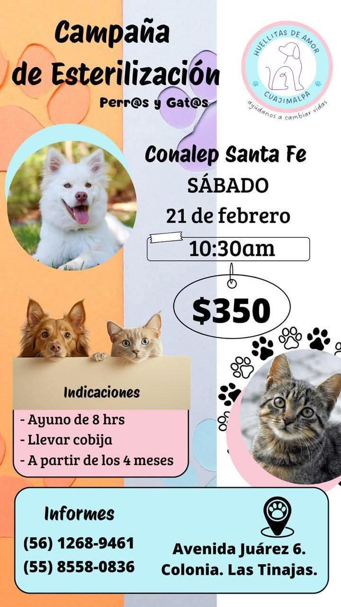 Proyecto Six Pack tweet media