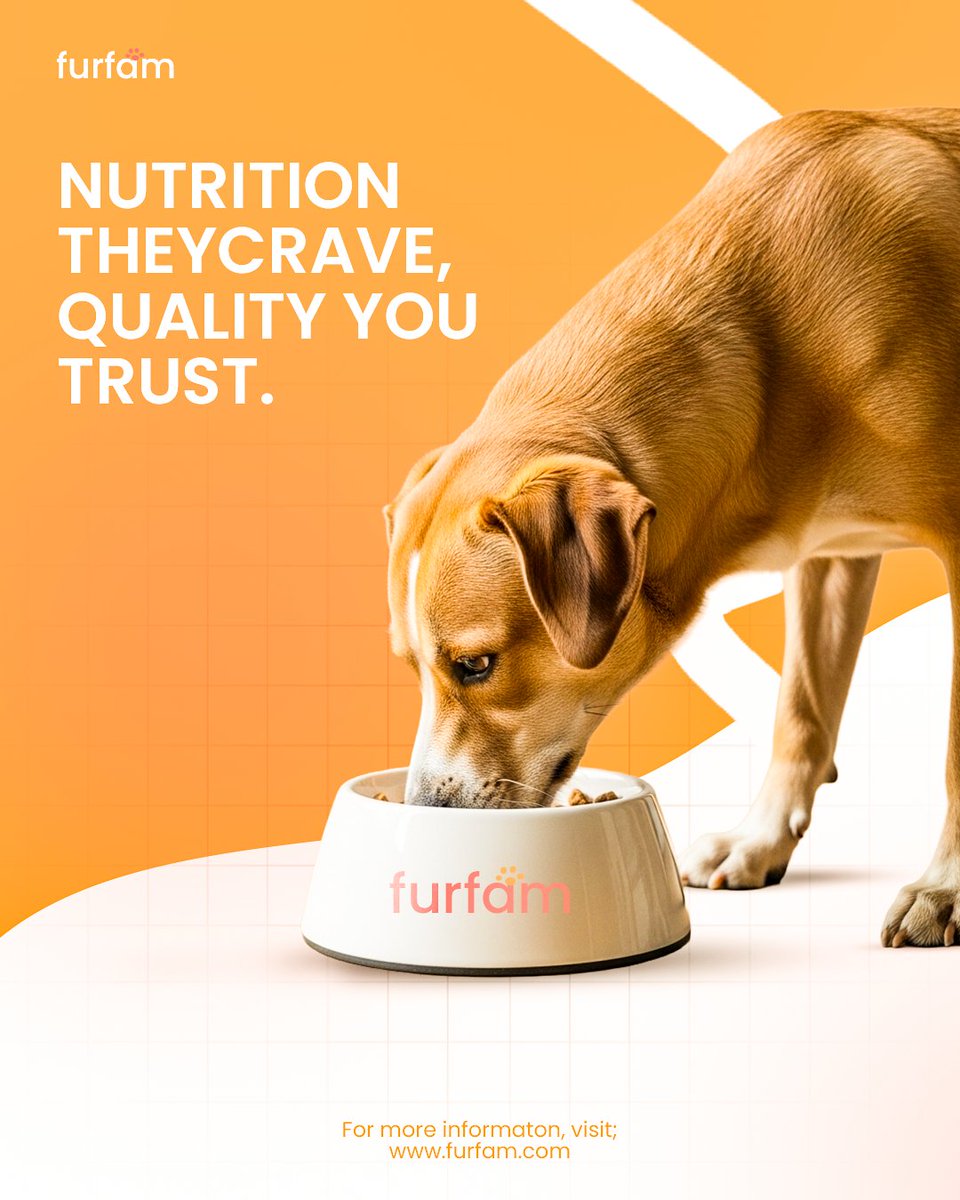 Kennyconcept_2's tweet photo. I designed this brand to feel how pet care should feel, warm, joyful, and trustworthy.
Furfam is all about happy pets and even happier hearts. https://t.co/XBXeWHrxmY