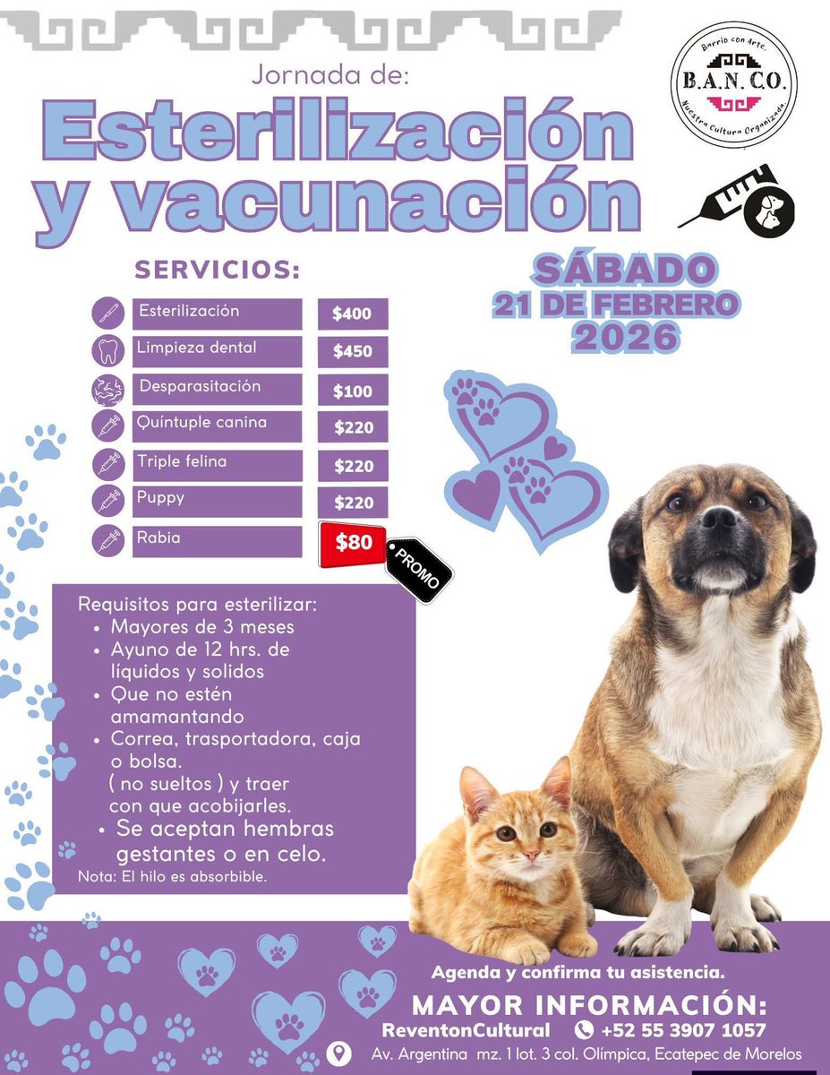 Proyecto Six Pack tweet media