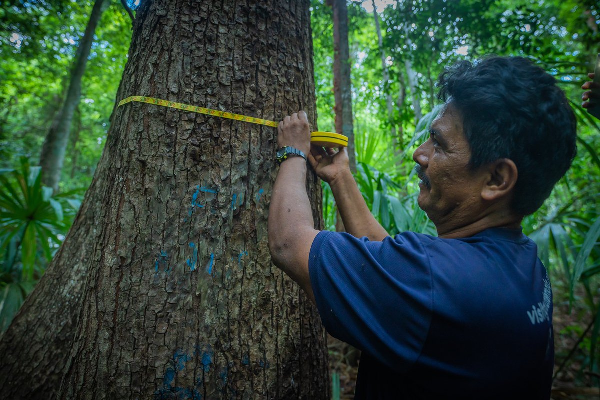 Subhra Bhattacharjee tweet media