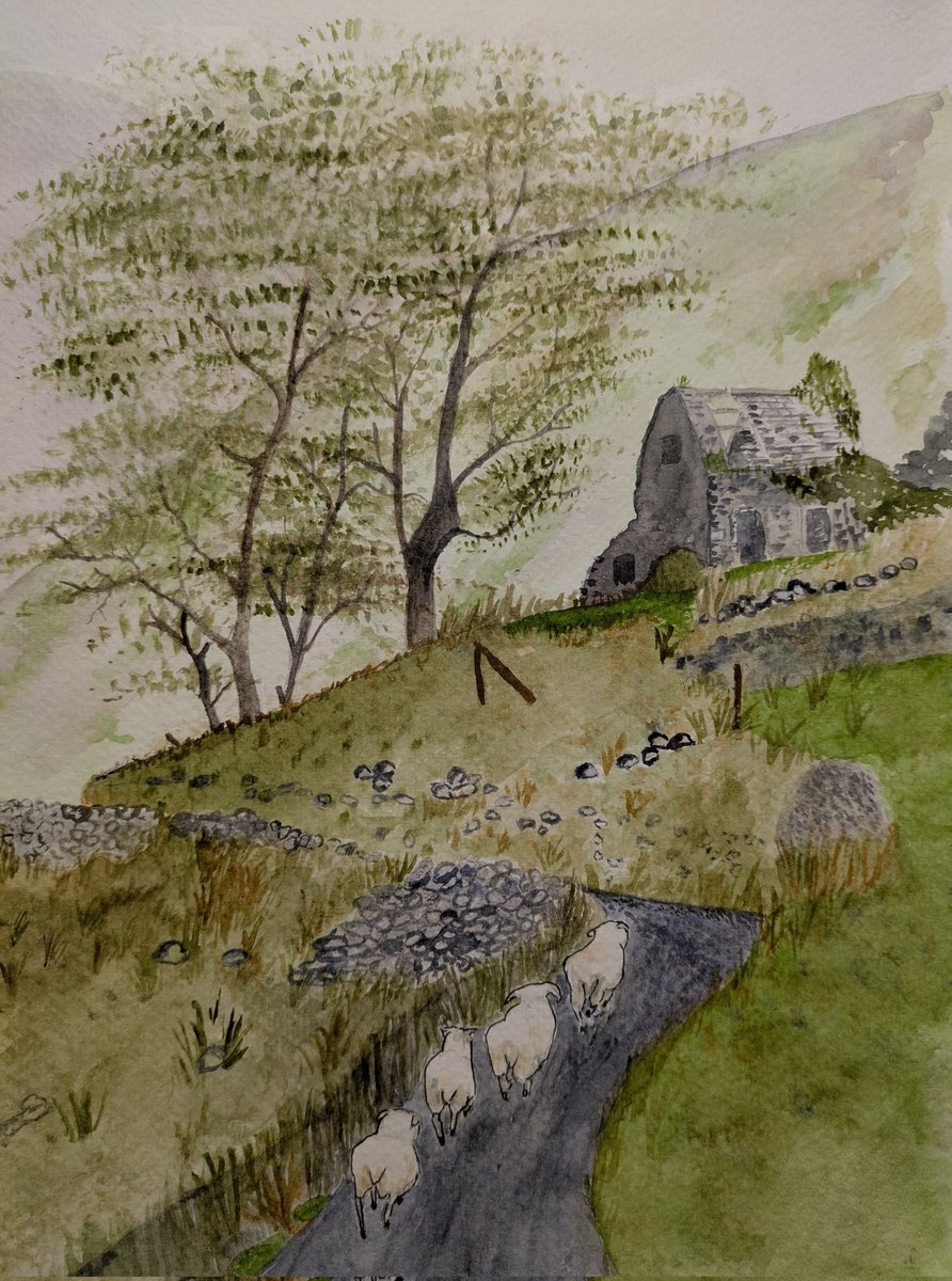 Norrington Bee tweet media