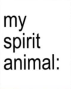 teddybullaro's tweet image. 