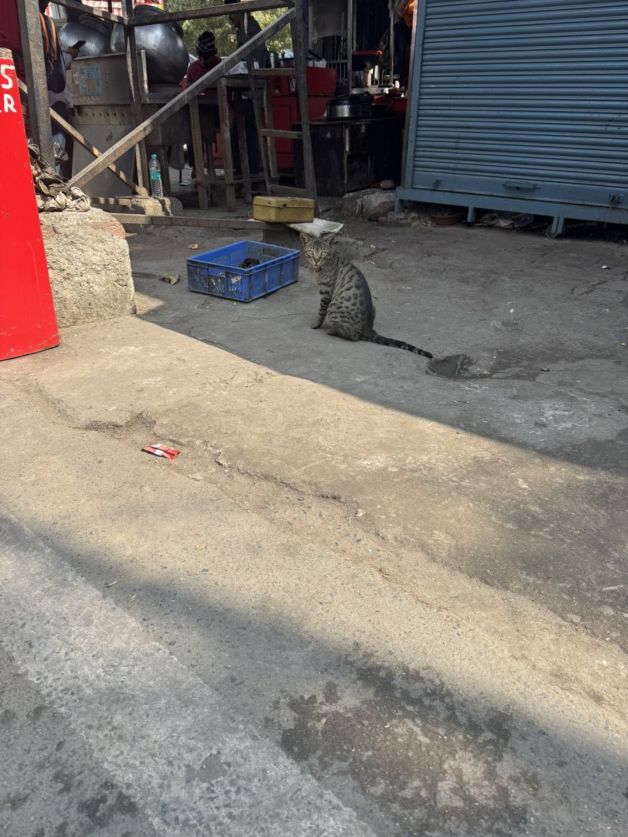 さむさい tweet media