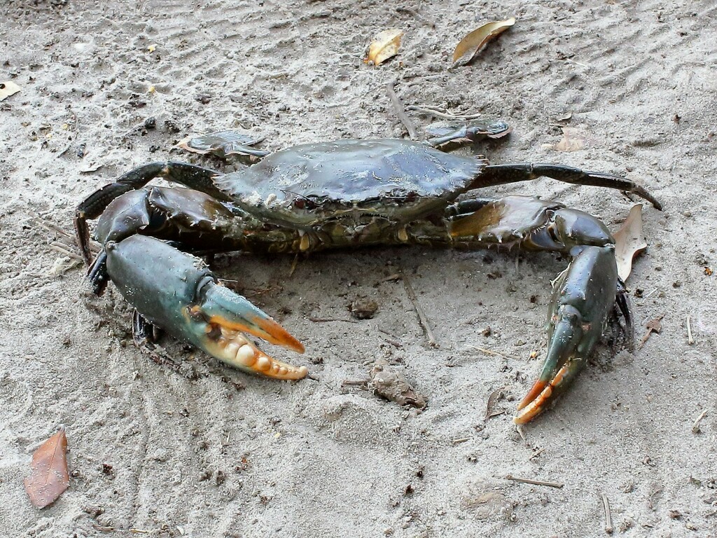 UNEP- Nairobi Convention tweet media