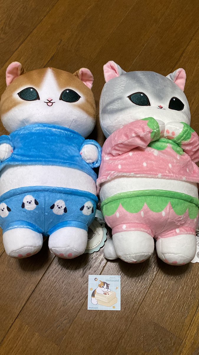 てつや (@kapo_neko) / Posts / X