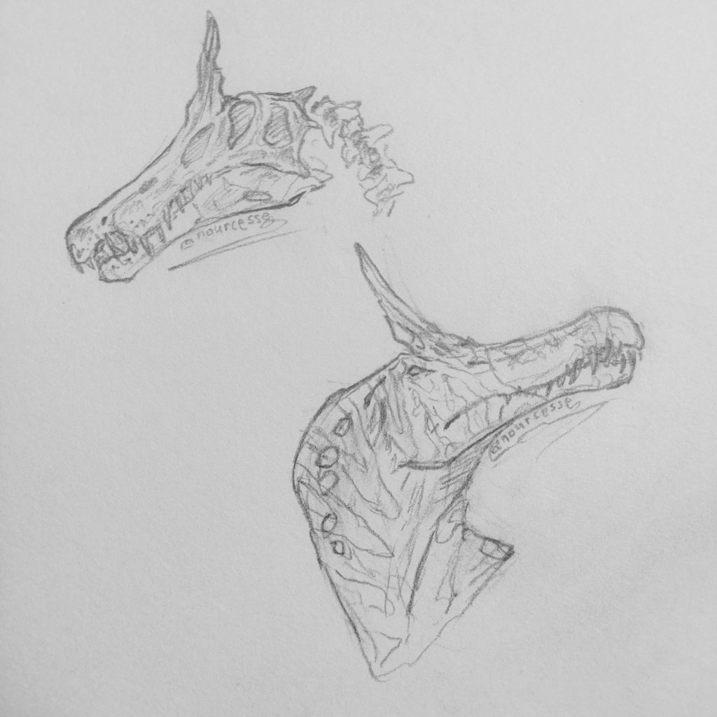 nourcesse's tweet photo. New Spinosaurus Mirabilis sketches

#paleoart #dinosaurs #spinosaurus https://t.co/FqK99zpOSS