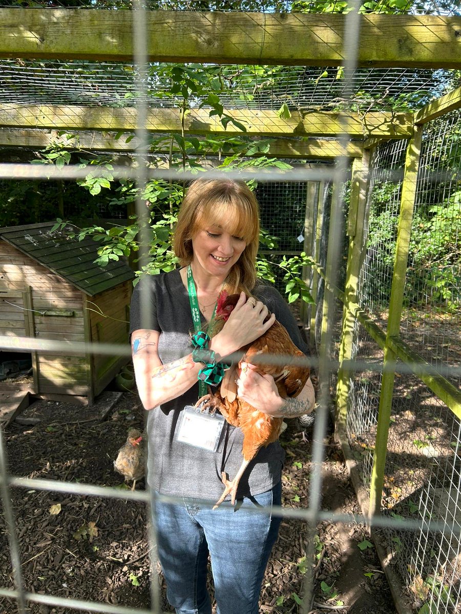 Jennifer Killick tweet media