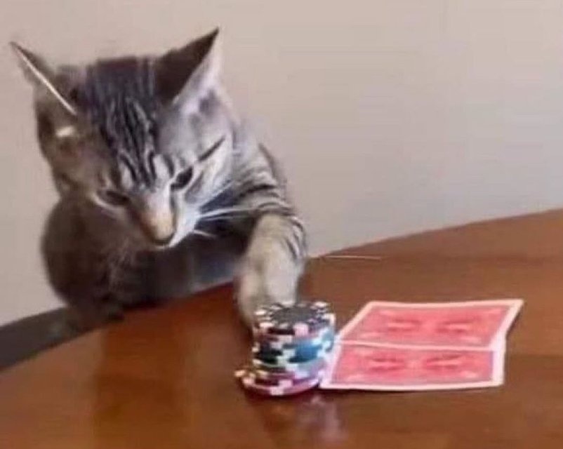 بعت تونتي لاجل القمار