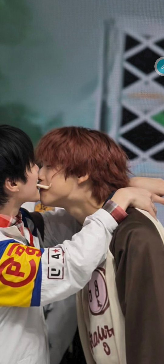 Lara 🍜 (@leninhobiboito) on Twitter photo 