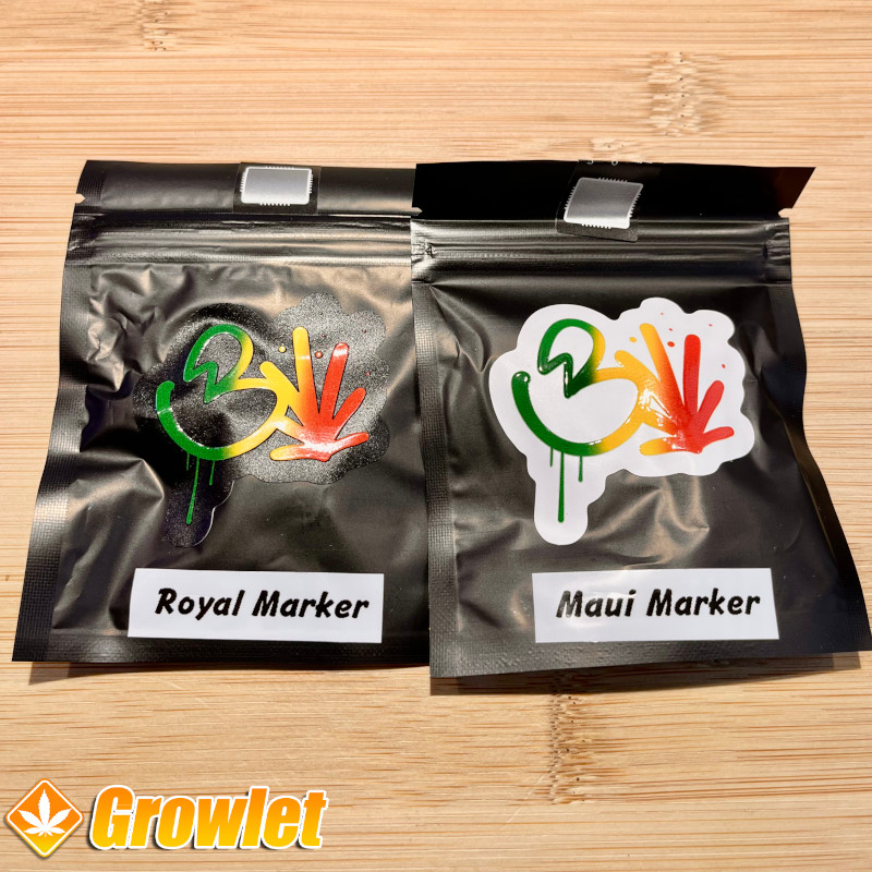 GrowletGrowShop's tweet photo. New 2 EXCLUSIVE Beleaf Strains in da house 😎

#growlet

#growlet_grow

#growlet_is_back

#beleafseeds

https://t.co/rmvwPjp89J https://t.co/eyv8e4x586