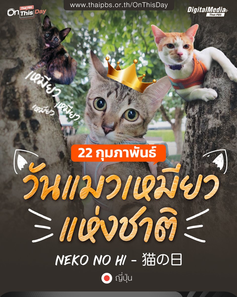 22 กุมภาพันธ์ #วันแมวเหมียวแห่งชาติ #ญี่ปุ่น #NekoNoHi #猫の日
.
🐈‍⬛ น้องเหมียวเจ้าของเสียงร้องเนี้ย เนี้ย เนี้ย ที่คนญี่ปุ่นได้ยิน สามารถเขียนเป็นภาษาญี่ปุ่นว่า ニャー、ニャー、ニャー ซึ่งมีคำว่า ニ (นิ) ที่แปลว่าเลข 2 อยู่ในนั้น ยิ่งถ้าออกเสียงแบบสั้น ๆ จะยิ่งพ้องเข้ากับคำว่า