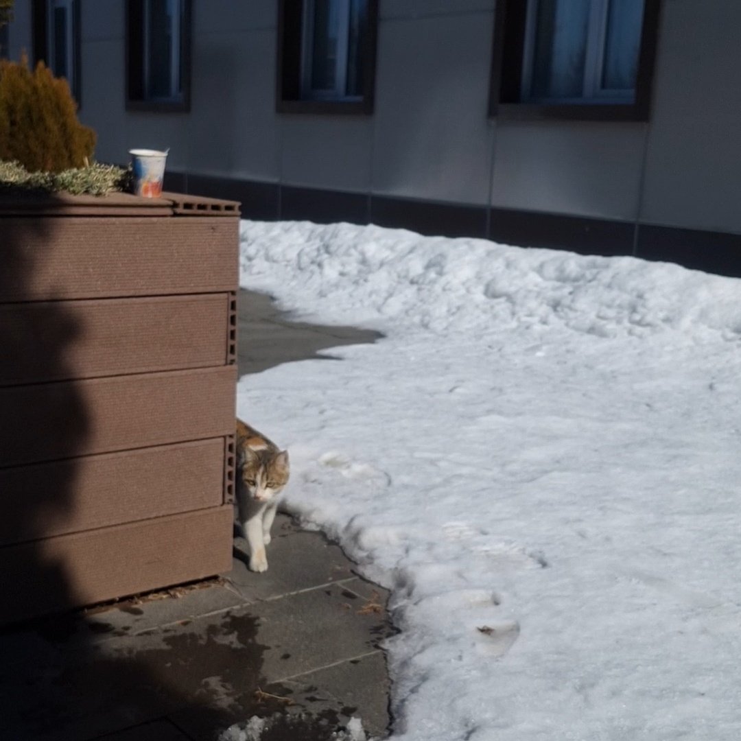 yanimda hic mama yok ama 😔