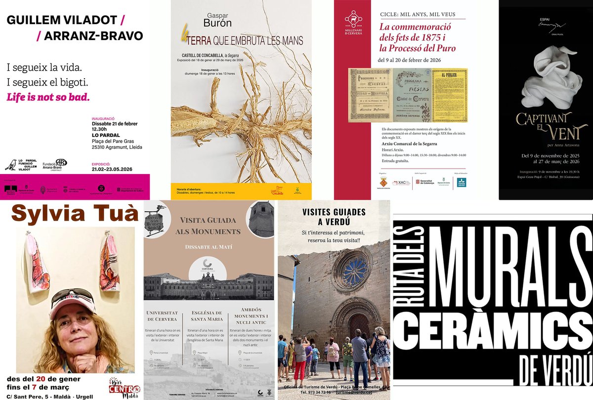 Som Segarra tweet media