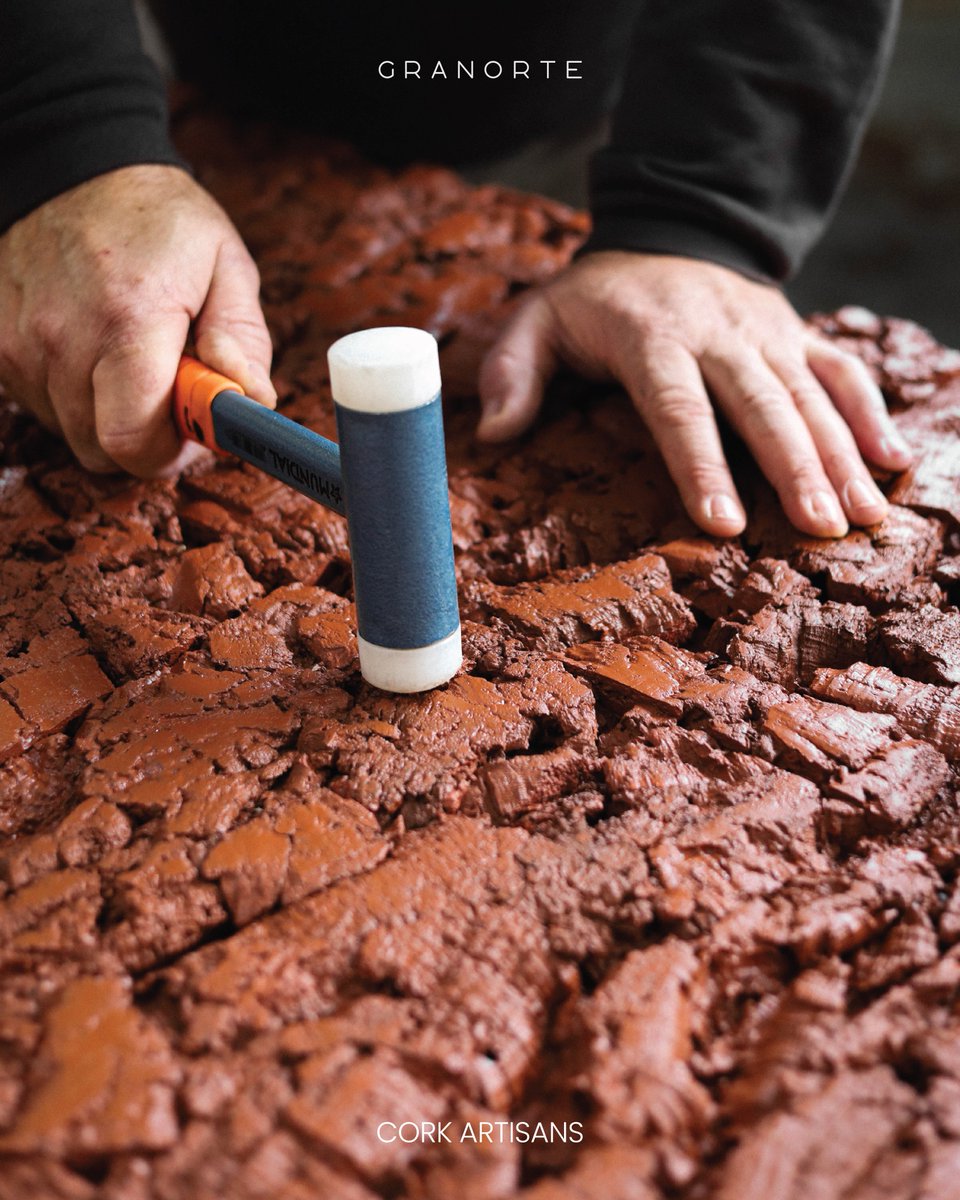 GRANORTE tweet media