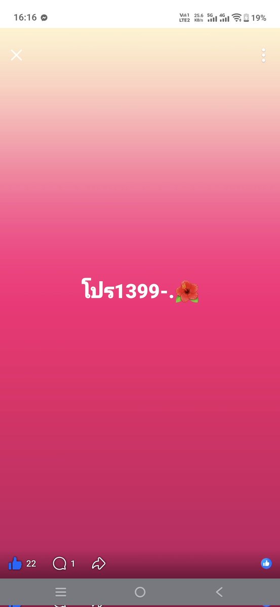 ไอ้ต้าวหมาป่า tweet media