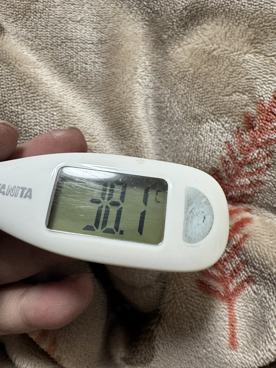 ☆釣り具貧乏(ツリグビン)☆ tweet media