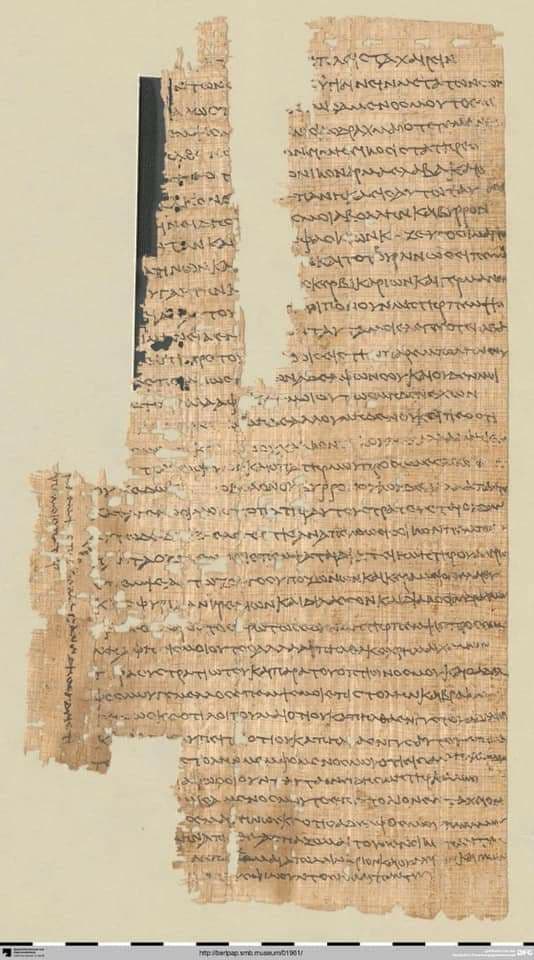 MENA Visuals tweet media