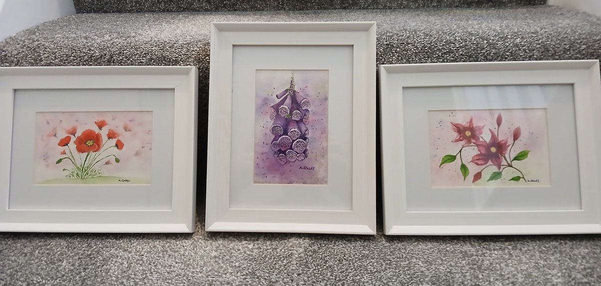Mother’s Day Sale! 
Three original Anne Oxley Art watercolour florals — Poppies, Clematis, Foxgloves - each in a framed 8x6".
Only one of each available! 
Sale ends 2nd March
Shop now: crafters.market/shop/anne-oxle… #MothersDayGift #AnneOxleyArt #WatercolourArt #FloralArt #ArtSale