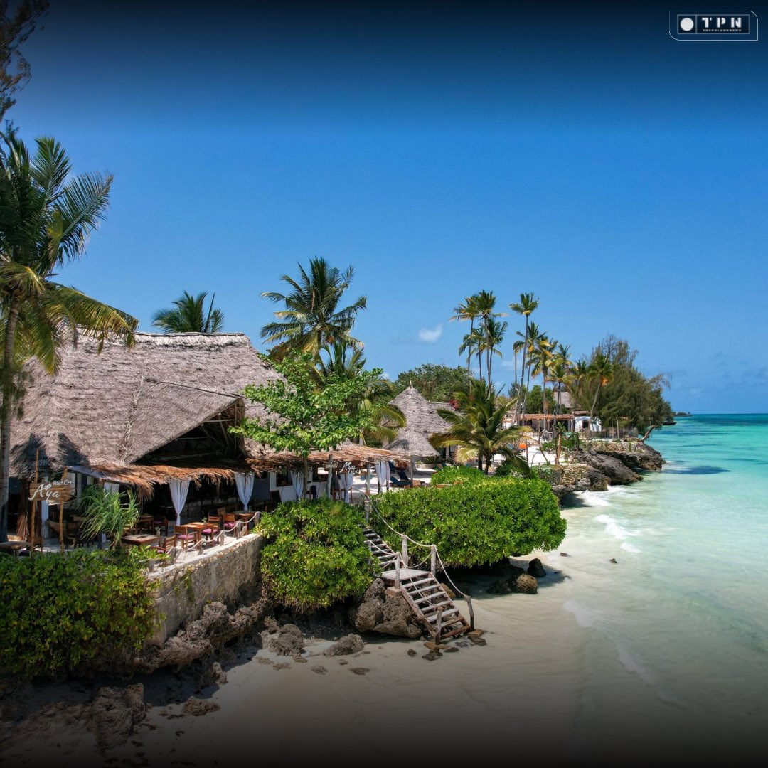 🌐 ᴛʜᴇᴘᴏʟᴀɴᴅɴᴇᴡs 🌐 tweet media