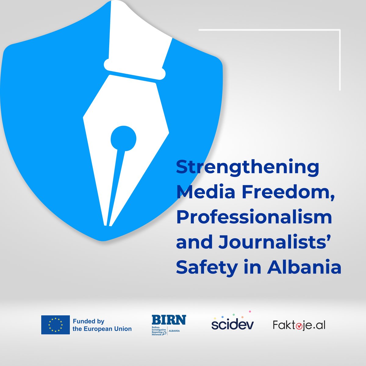 BIRN tweet media