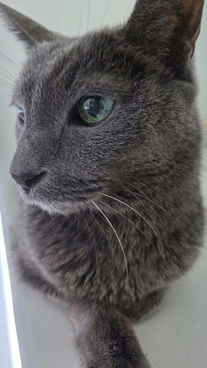 260220 Heechul’s IG story

instagram.com/stories/heenim…