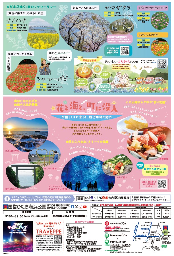 そよかぜ通信2026春号」を発行しました。 春のフラワリレーをはじめと