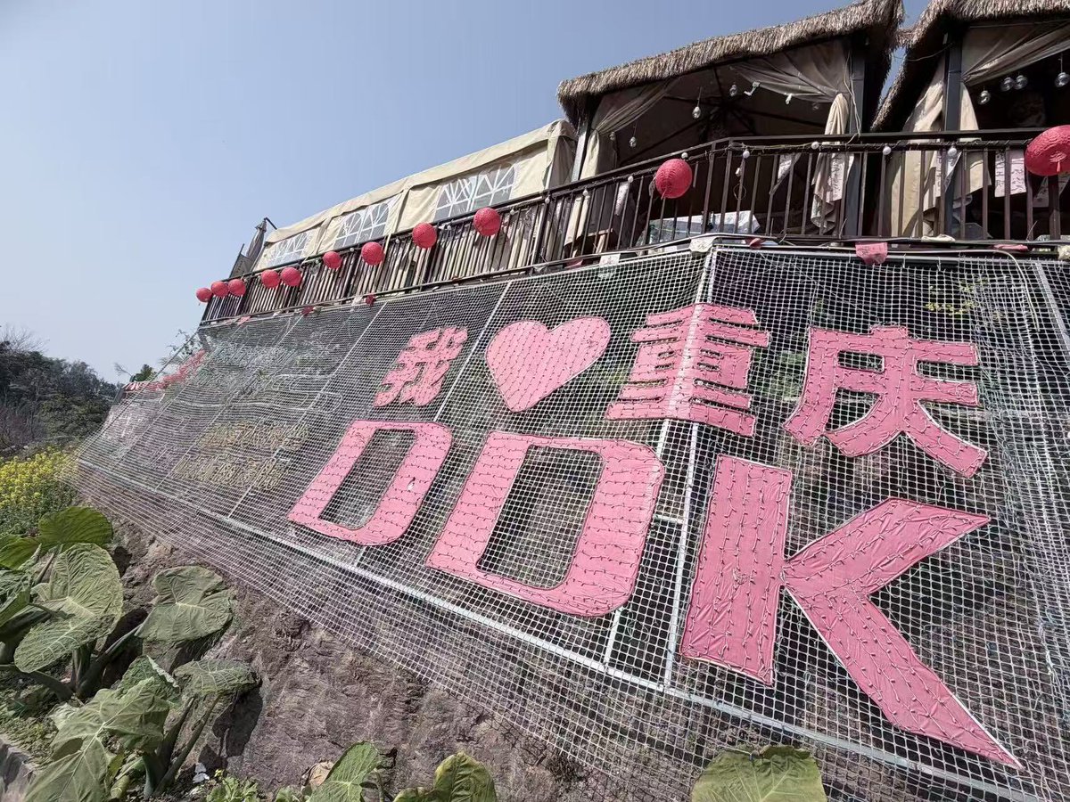 iChongqing_CIMC's tweet photo. This charming scene is just one snapshot of the beautiful countryside taking shape across #China. This Spring Festival holiday, why not visit a cozy farmhouse nestled in the Jinao Mountains of #Chongqing’s #Dadukou District?🧧 There, you can soak up the warm sunshine, the vibrant spring blossoms, and the joyful festive atmosphere all at once.🥳 #CNY2026
