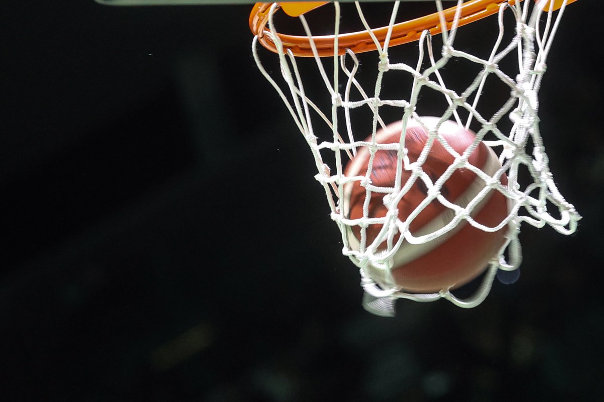 TorinoClick tweet media