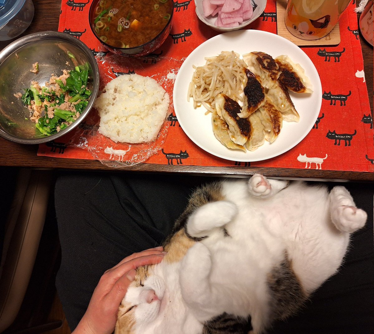 餃子たべました