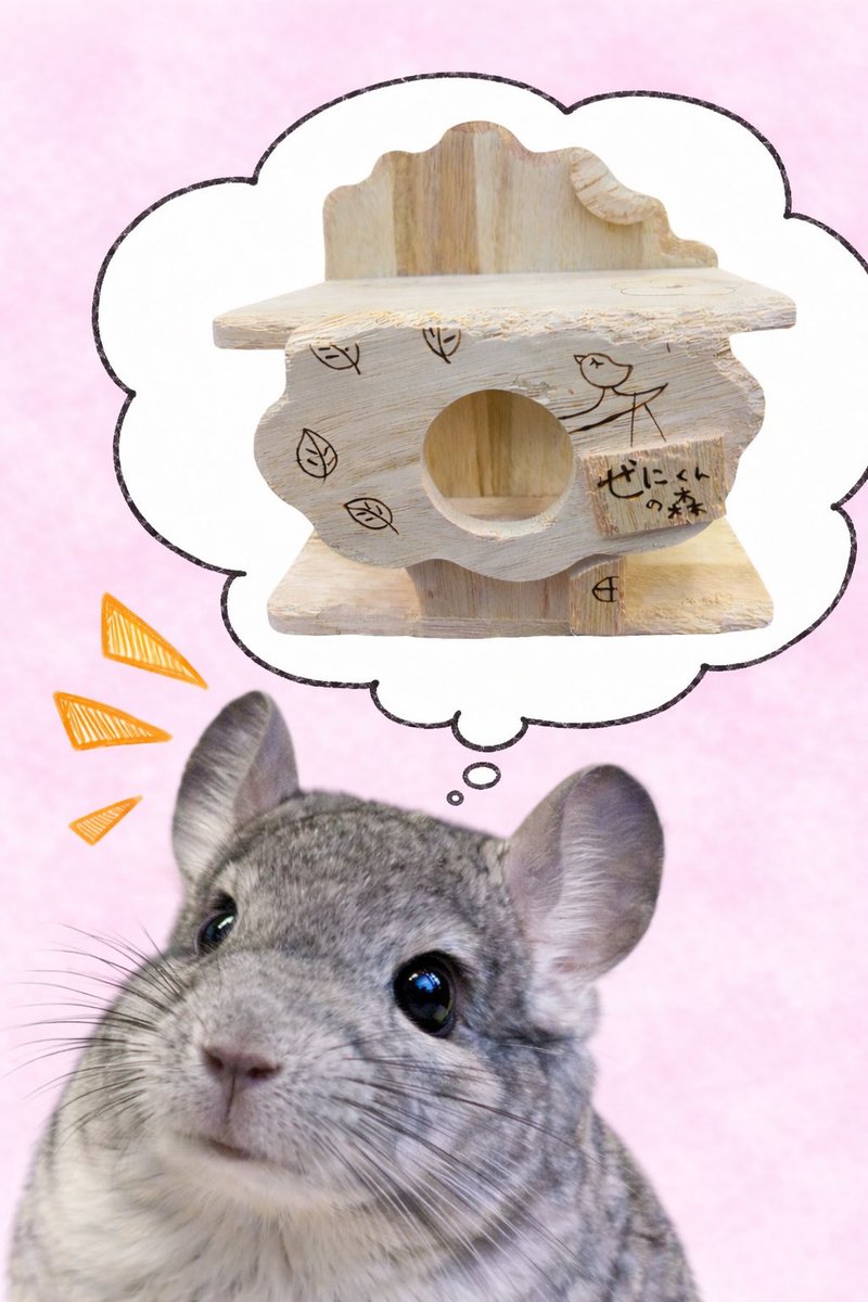 🐭チンチラのさんの楽しみのひとつは 🪵「かじること」。 おやつは制限