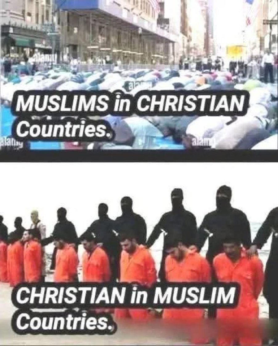 Alchemist999 tweet media