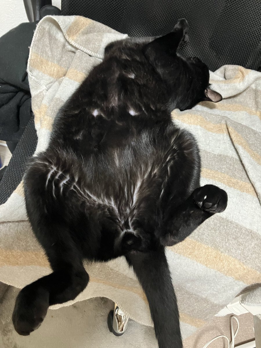 ホカホカのパッカーーーん！！