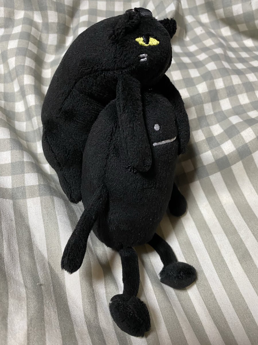 yaminoshigure's tweet photo. 某フードコートのアニメの聖地になっている��オンにてお迎えして来た猫を被るチャーム💕可愛すぎて堪らん(๑´ㅂ`๑)

#グラニフ https://t.co/rihsU4xnN0