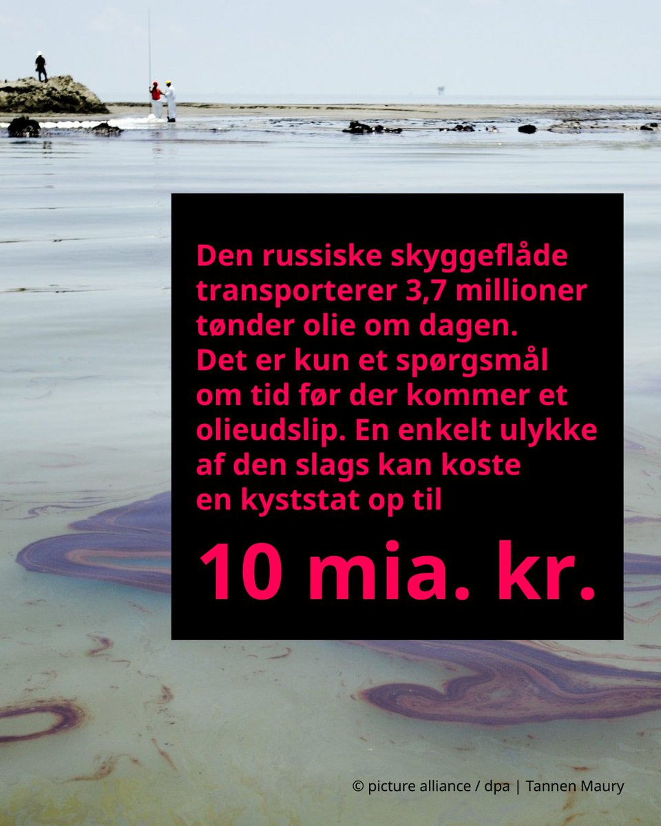 Embassy of Poland in Denmark tweet media